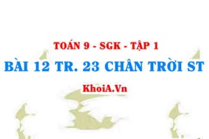 Bài 12 trang 23 Toán 9 Chân trời sáng tạo Tập 1
